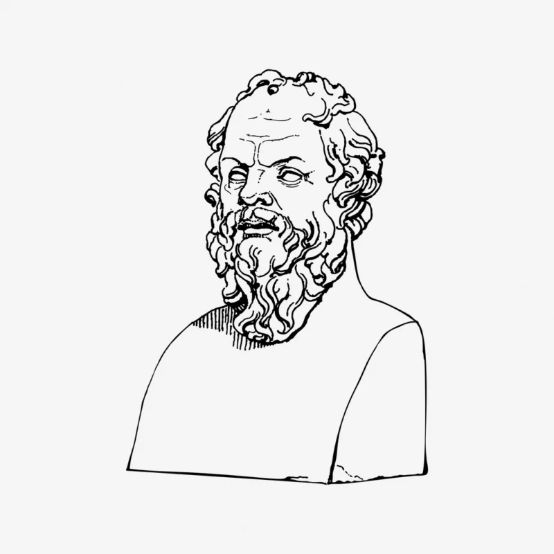 Socrates bust, drawing illustration